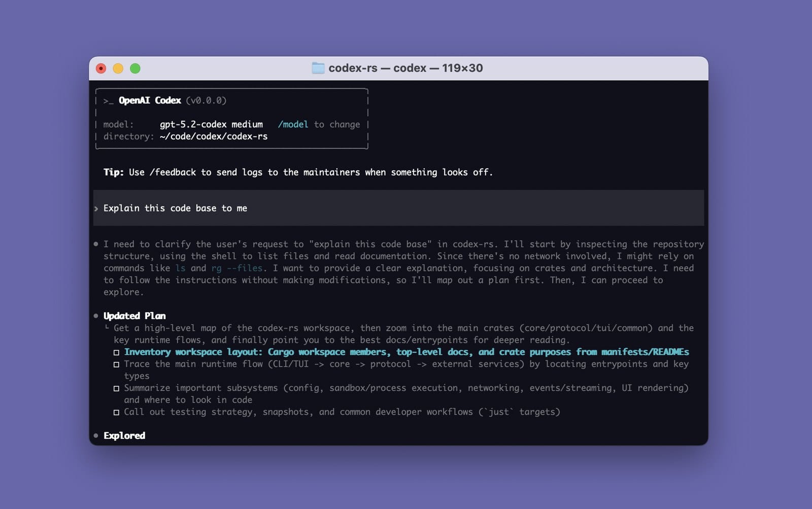 openai/codex CLI 스플래시