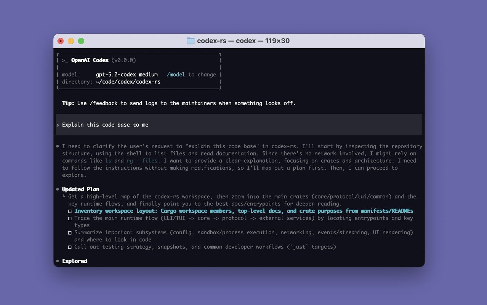 openai/codex CLI 스플래시